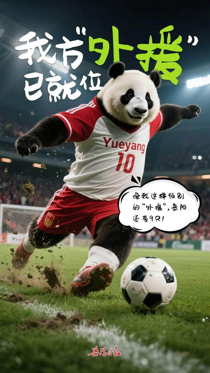 华体会体育入口-岳阳熊猫天团出战湘超联赛9月14日对决怀化